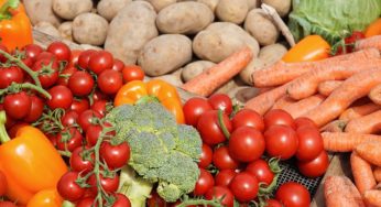 Holistic Diet: What Is It and How Does Food Impact Your Health